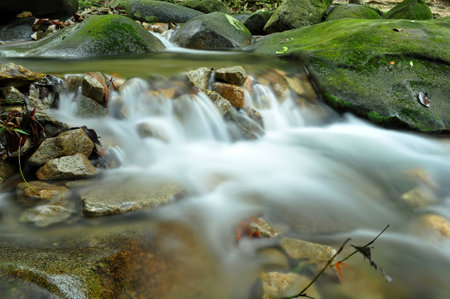 Water flowing over rocks in a stream in the forest, Malaysiaの写真素材