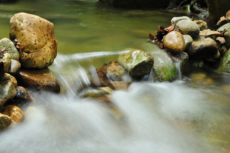 Waterfall in the forest with rocks and green leaves in the foreground