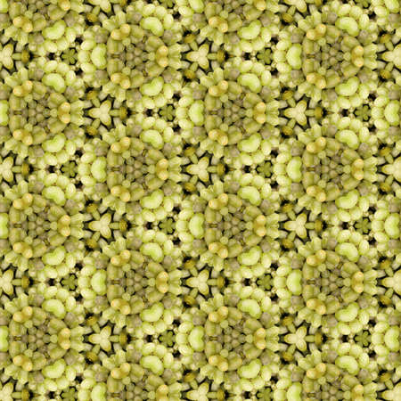 Seamless pattern of fall autumn colors and food created from real picture of green grapes with...