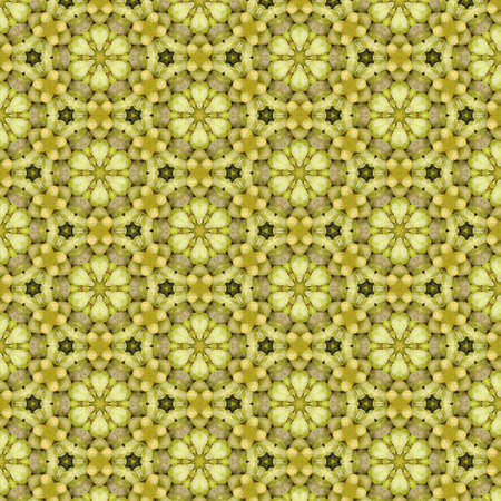 Seamless pattern of fall autumn colors and food created from real picture of green grapes with kaleidoscope effect. High resolution at 3000 by 3000 pixelの写真素材