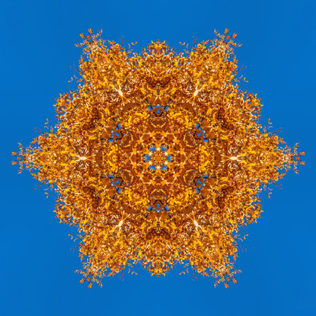 Kaleidoscope effect of autumn tree branches on a blue sky makes them look like a big golden snowflakeの写真素材