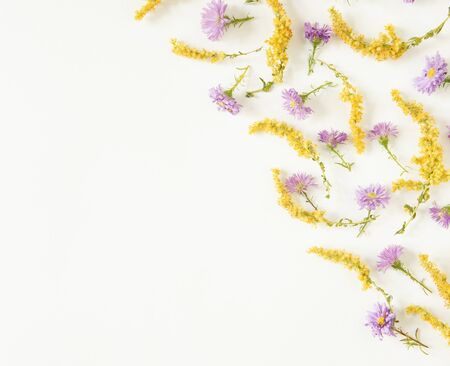 Floral pattern on white background. Flat lay, top view. Pattern of flowers.の写真素材