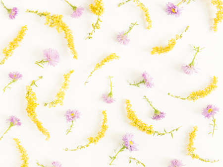 Floral pattern on white background. Flat lay, top view. Pattern of flowers.