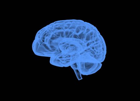 3D Hologram Render image of human brain