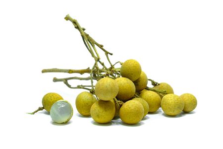 Longan in white background