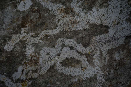 Old cement wall