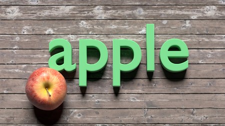 Learn english  words cards for kids and adults - single word with a corresponding object to help in study and remembering basic words, close upの写真素材