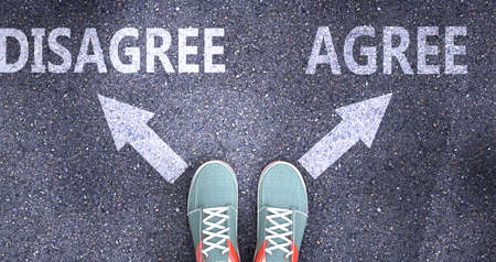 Disagree and agree as different choices in life - pictured as words Disagree, agree on a road to symbolize making decision and picking either Disagree or agree as an option, 3d illustrationの写真素材