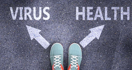 Virus and health as different choices in life - pictured as words Virus, health on a road to symbolize making decision and picking either Virus or health as an option, 3d illustrationの写真素材