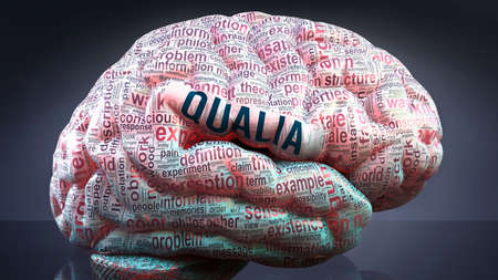 Qualia in human brain, hundreds of crucial terms related to Qualia projected onto a cortex to show broad extent of this condition  and to explore important concepts linked to Qualia, 3d illustrationの写真素材