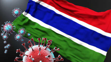 Gambia and the covid pandemic - corona virus attacking national flag of Gambia to symbolize the fight, struggle and the virus presence in this country, 3d illustrationの写真素材