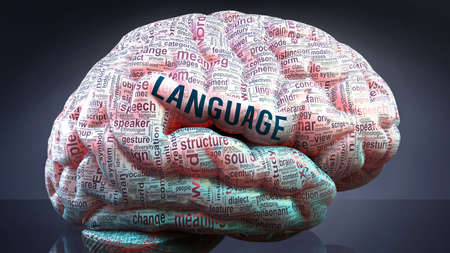 Language in human brain, hundreds of crucial terms related to Language projected onto a cortex to show broad extent of the condition and to explore concepts linked to it, 3d illustrationの写真素材