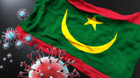 Mauritania and the covid pandemic - corona virus attacking national flag of Mauritania to symbolize the fight, struggle and the virus presence in this country, 3d illustrationの写真素材