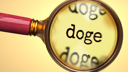 Doge being studied under magnifying glass. Focusing on a topic of doge. Taking a closer look at doge. Examination of itの写真素材