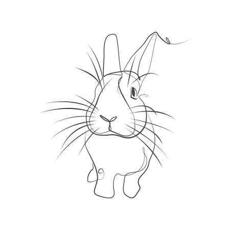 Lineart vector illustration of a rabbitのイラスト素材