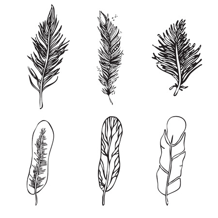 Set of Ethnic Feathers on a white background. Vintage Artisticalのイラスト素材