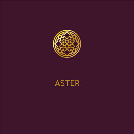 Abstract Aster icon design. Elegant Golden Flower symbol.のイラスト素材