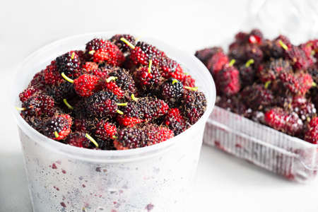 Mulberry in plastic bowl on white background.の写真素材