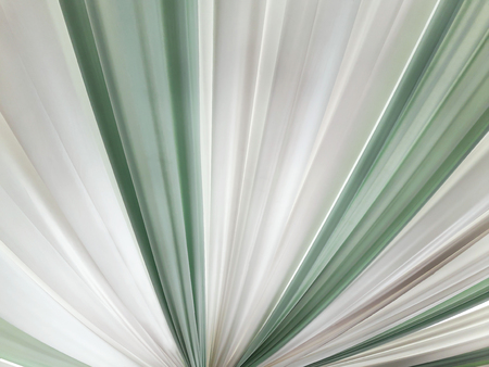 A group fabric smooth elegant green and white for cloths texture and background. Top View.の写真素材
