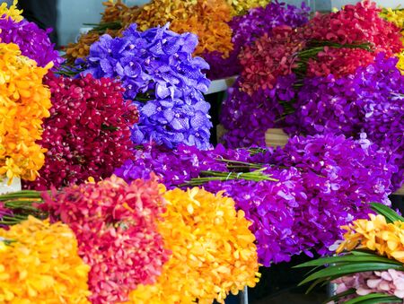 Colorful orchids flowers bouquet in flower shop selling variety of flowers at the flower market...
