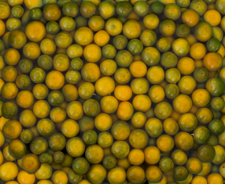 Fruit orange preserved or Citrus Japonica Thunb. Citrus processed fruits.の写真素材