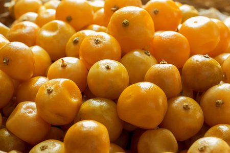 Fruit orange preserved or Citrus Japonica Thunb. Citrus processed fruits.の写真素材