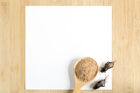 Cricket powder insect for eating and cooking food in wooden spoon with white paper mockup on wood background it is good source of protein edible for future. Entomophagy concept. Top view.の写真素材