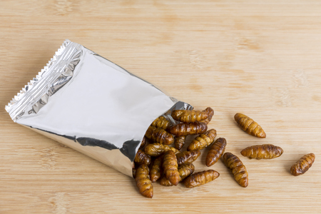 Silkworm Pupae insects for eating as food. Chrysalis silkworm deep-fried or baked crispy snack in a foil wrap ready to eat on wood background, it is good source of protein edible. Entomophagy concept.の写真素材