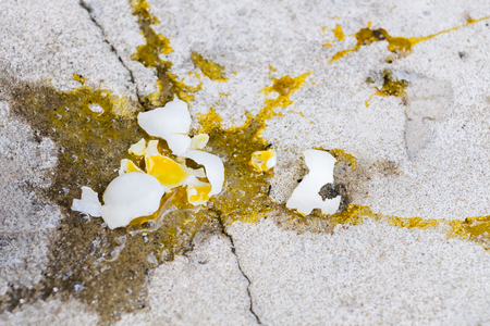 Eggs bird broken, it is falling out of nest with eggshell and yolk of eggs bird on the gray stone...