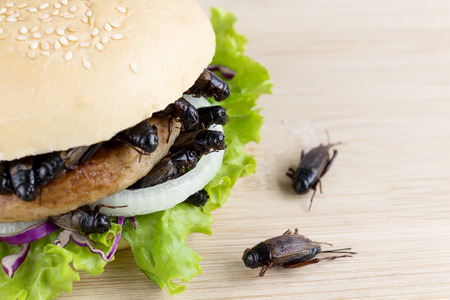 Crickets insect for eating as food items in bread burger made of fried insect meat with vegetable on...