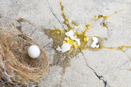 Eggs bird broken, it is falling out of nest with eggshell and yolk of eggs bird on the gray stone ground. Investment and misadventure concept.の写真素材