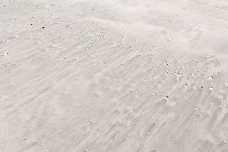 Sand texture top view on the tropical beach with visible sand texture for background with copy space for text.の写真素材