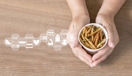 Bamboo worm for eating as food insects in disposable cup on woman's hand and symbol icon media....