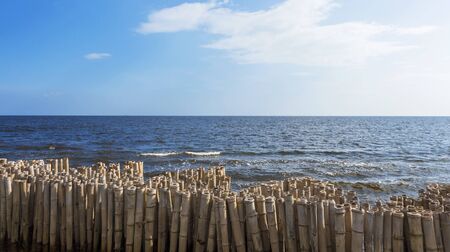 Bamboo fence wall is breakwater for protecting the shore and mangrove forest from wave erosion and storm in sea. Tranquil idyllic scene of the tropical sea background and sunshine in the morning.
