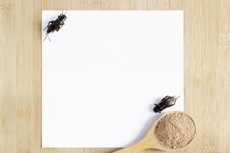 Cricket powder insect for eating as food in wooden spoon with mockup white paper on wood background it is good source of protein edible for future food. Entomophagy concept. Top view.の写真素材