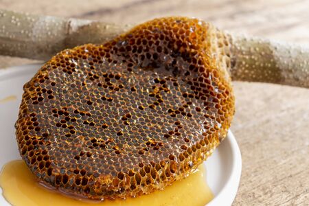 Honeycomb pieces close-up on the white plate with fresh liquid honey golden color beautiful from a bee hive. Food and healthy concept.の写真素材