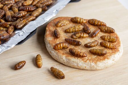 Silkworm Pupae (Bombyx Mori). Food insects for eating as food. Bakery baked bread made of cooked insect meat with baking tray on wood background is good source of protein edible. Entomophagy concept.の写真素材