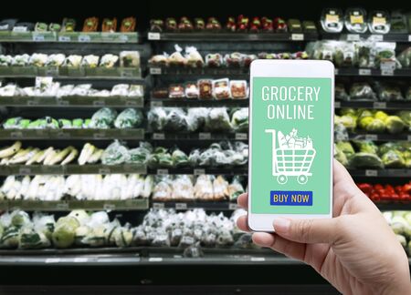 Online order grocery shopping on touch screen concept. Woman hand holding smart phone for ordering food delivery ingredients service at home for cooking. Business and technology for lifestyle in city.の写真素材