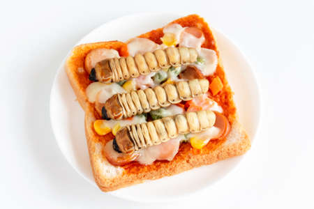 Food Insects: Worm beetle of Scarab Beetle for eating as food items made of cooked insect meat on bread baked sandwich on plate, it is so rich in protein edible and delicious. Entomophagy concept.の写真素材