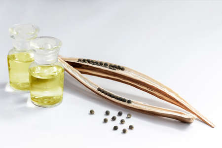 Okra oil in glass bottles and Abelmoschus esculentus seed on a white background, it is help relieve stress and boost sexual performance which is property medicine concept. With copy space for text.の写真素材