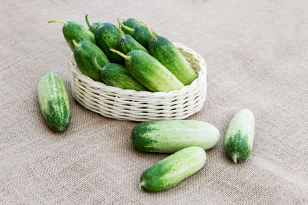 Cucumber fresh in basket and on the sackcloth background for cooking ingredient in salad healthy.の写真素材