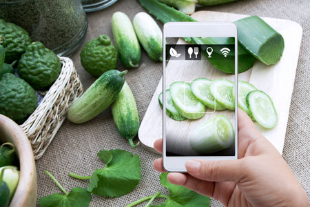 Smart farming agribusiness and technology. Farmer hand using smart phone scanning track application detail of plant growing produce agricultural farm for verify quality between producer and consumer.の写真素材