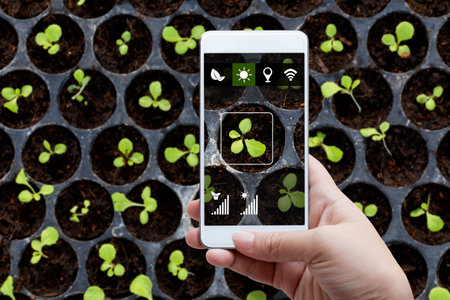 Smart farming agribusiness and technology. Farmer hand using smart phone scanning track application detail of plant growing produce agricultural farm for verify quality between producer and consumer.の写真素材