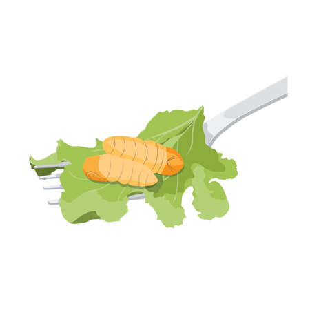 Food Insects: Silkworm Pupa insect deep-fried crispy for eating as food items on fork with salad vegetable, it is good source of protein edible for future. Entomophagy concept.のイラスト素材