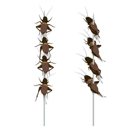 Food Insects: Crickets insect deep-fried crispy for eating as ready meal food items on skewer, it is good source of protein edible for future. Entomophagy concept.のイラスト素材