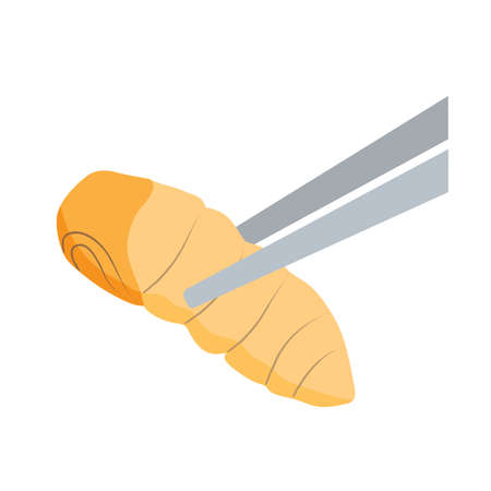 Food Insects: Silkworm Pupa insect deep-fried crispy for eating as ready meal food items on wooden chopstick, it is good source of protein edible for future. Entomophagy concept.のイラスト素材