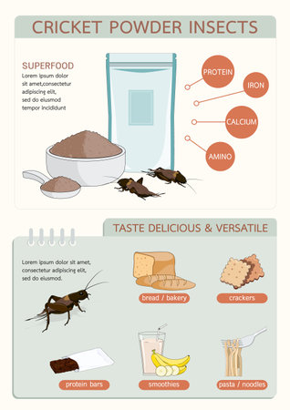 Crickets powder or Gryllus Bimaculatus. Insects powder as food edible processed made of insect for delicious cooking and drinks, it is good source of protein for eating healthy. Future food concept.のイラスト素材