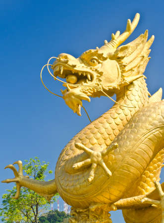 Golden gragon statue in Phuket Thailand.の写真素材