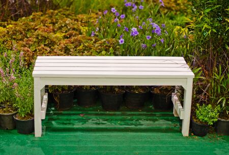 Bench for relaxing in the garden.の写真素材
