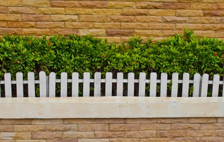 White fence,  Ornamental plants and stone wallsの写真素材